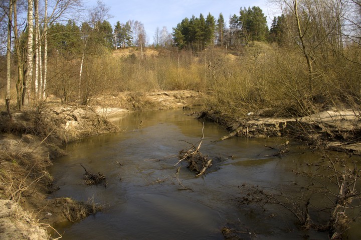 Cicha woda brzegi rwie. (Kwiecień 2011)