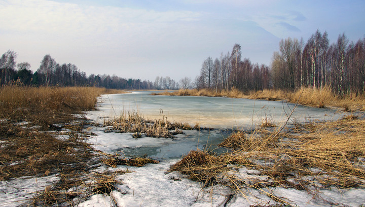 Uroczysko (Kwiecień 2011)