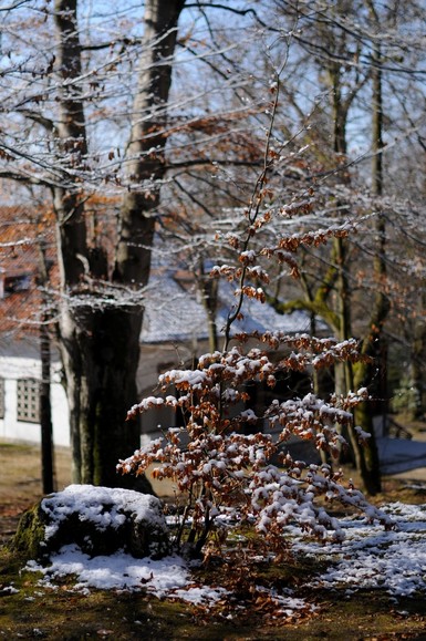 ostatnie tchnienie zimy (Kwiecień 2011)