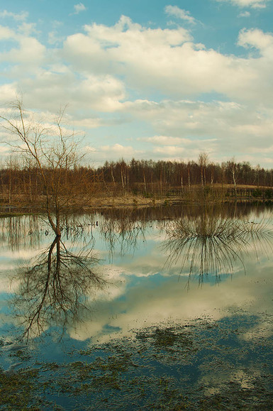 Rozlewisko (Kwiecień 2011)