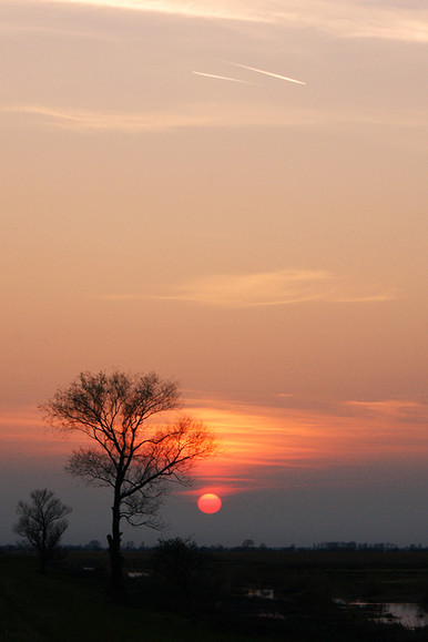 Nad Cieplicami (Maj 2011)