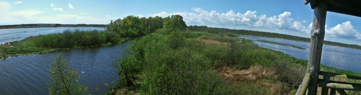 Panorama J.Drużno 01.05.2011 *