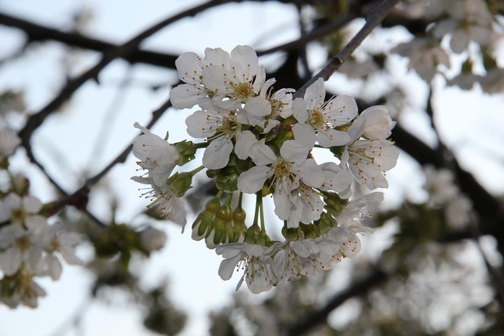 Wiosna (Maj 2011)