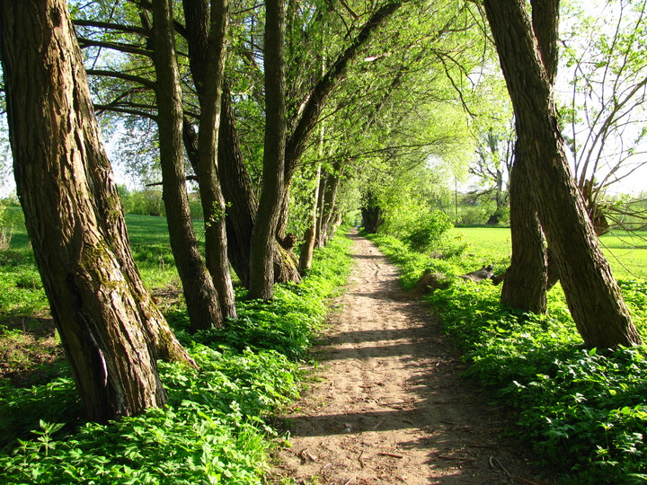 Za górami, za lasami... (Maj 2011)