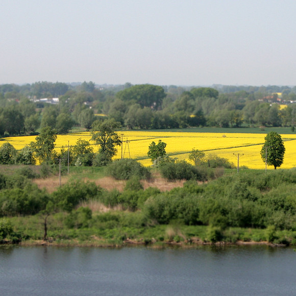 słońcem malowane (Maj 2011)