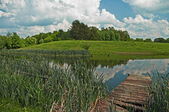 Nad stawem (Czerwiec 2011)