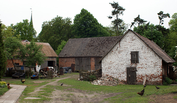 Zatrzymać czas – Stegna