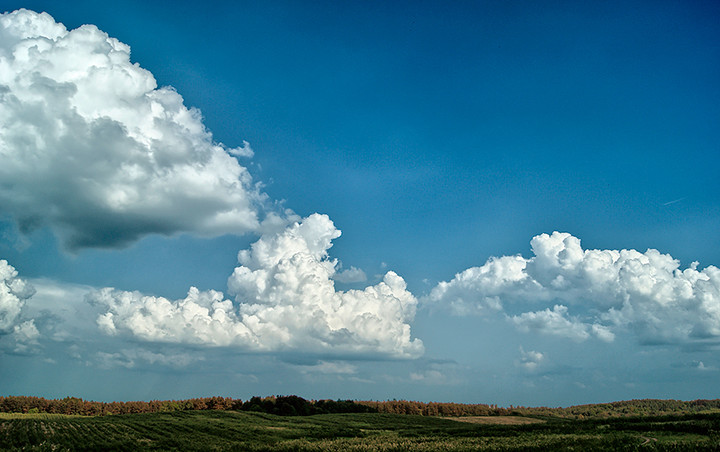 Gdzieś między Fromborkiem, a Elblągiem. (Czerwiec 2011)