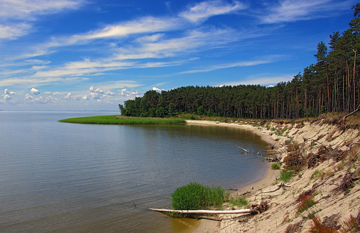 Zalew Wiślany - Zatoczka Dzikiej Róży (Czerwiec 2011)