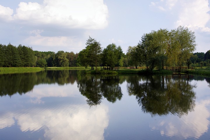 Plusk spławika i kukułkę słychać. (Czerwiec 2011)