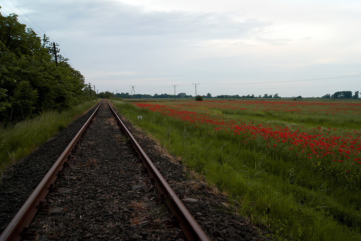 Nużące widoki nieistniejącego maszynisty - torowisko Elbląg, Braniewo.