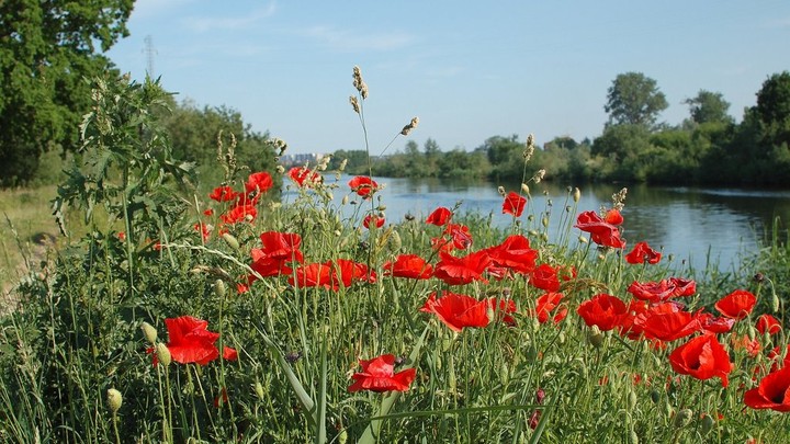 powrót z nowakowa (Czerwiec 2011)