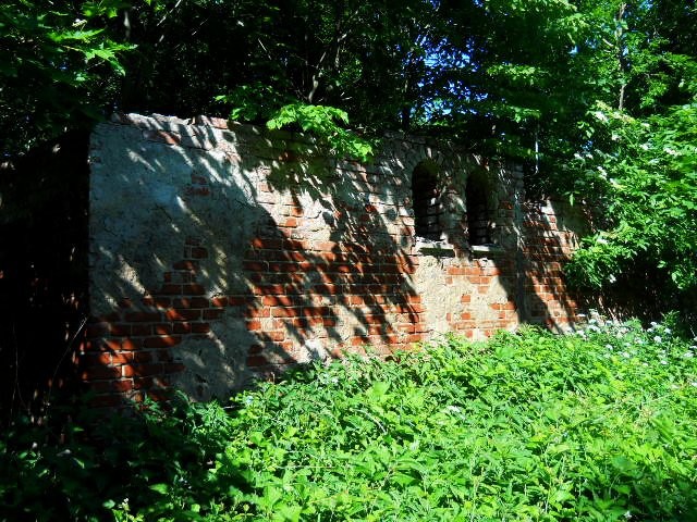 stare Elbląskie mury (Lipiec 2011)