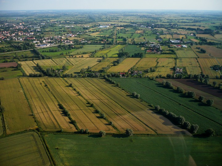 Pokłosie Festynu  lotniczego - podelbląskie pola (Lipiec 2011)