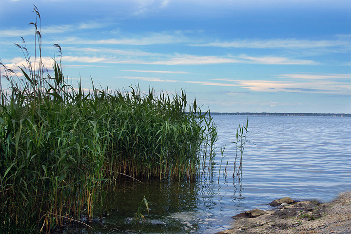 Tolkmicko (Sierpień 2011)