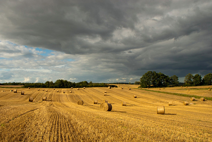 Gdzieś na Warmii (Sierpień 2011)