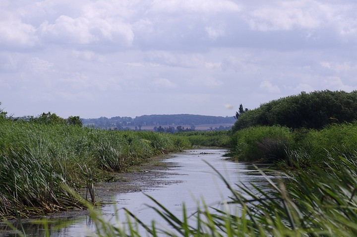 Nieatrakcyjne widoki po wschodniej stronie jez. Drużno. (Sierpień 2011)