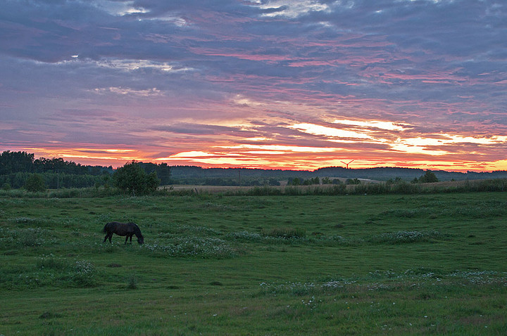 Z wiatrakiem w tle. (Wrzesień 2011)