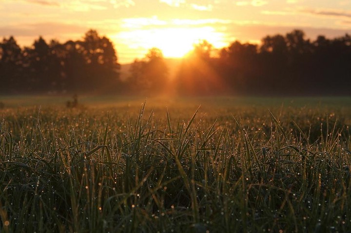 Pewien sierpniowy poranek. (Wrzesień 2011)