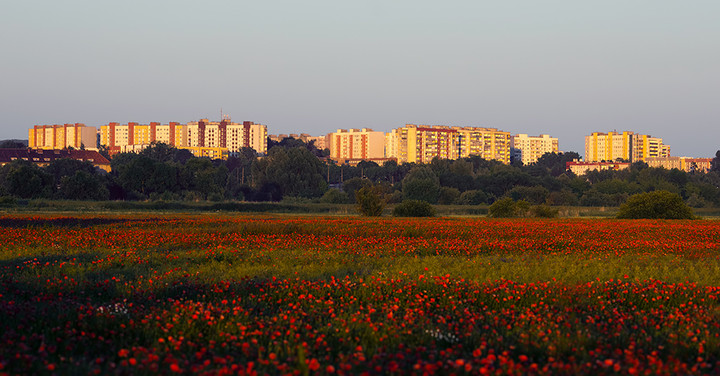 Zawada (Wrzesień 2011)