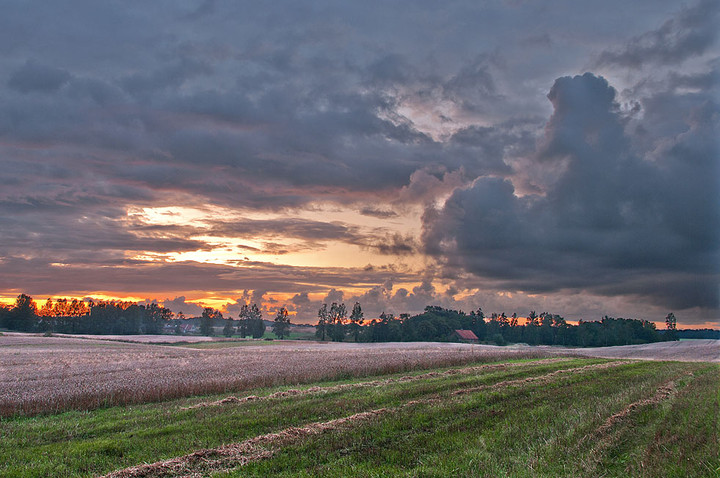 Pół na pół (Październik 2011)