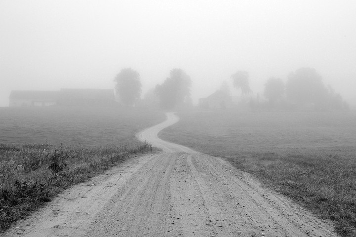 Polną drogą we mgle