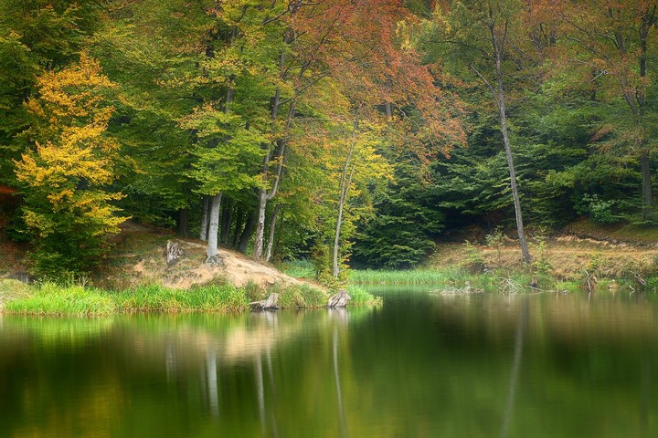 Już tu jest ..... jesień (Październik 2011)