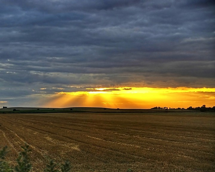 Po żniwach. (Październik 2011)