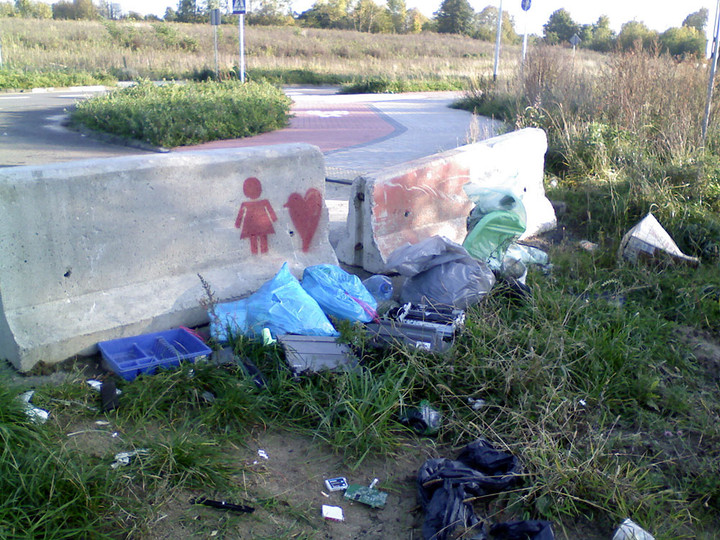 biznesmeni brudasy z domków jednorodzinnych robią sobie śmietnisko z Modrzewiny