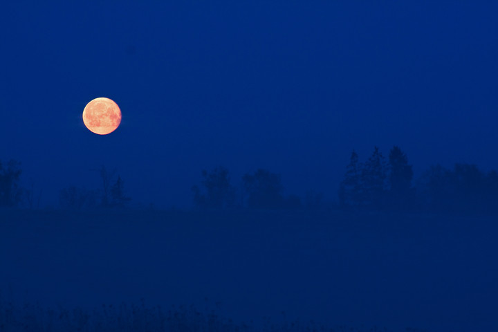 ... w księżycową noc...

Zdjęcie wykonane w okolicach Pomorskiej Wsi, w drodze na skoro świt:) (Październik 2011)