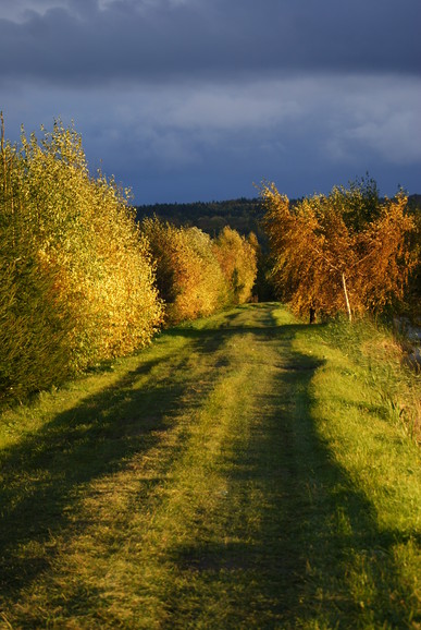 (Październik 2011)