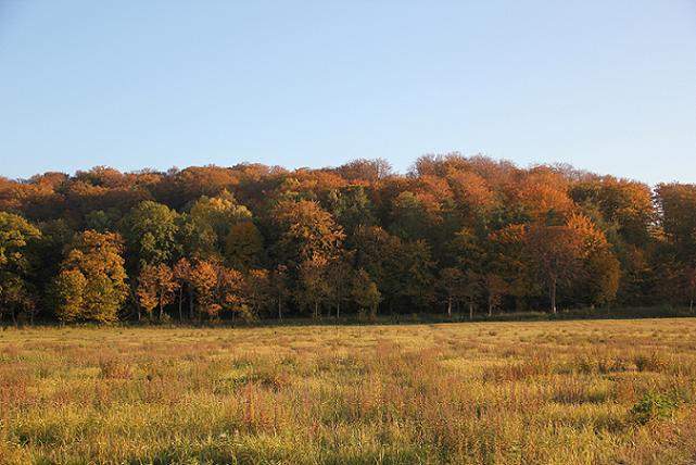 Jesień w Kadynach