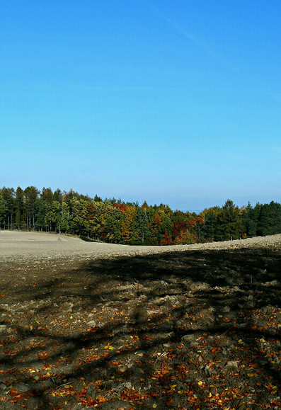 Okolice Nadbrzeża. (Listopad 2011)