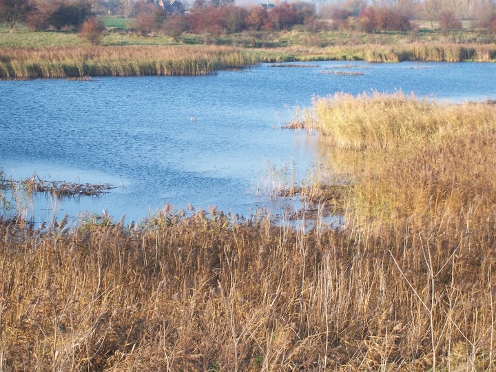 Barwy jesieni nad Nogatem...