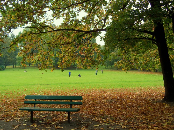 Park Modrzewie-samotna ławka