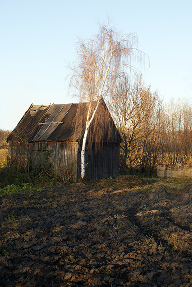 tropy elbląskie (Listopad 2011)
