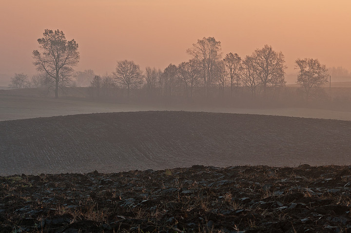 Warstwy poranka (Listopad 2011)