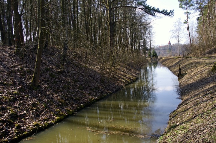 Zdrowa woda. (Grudzień 2011)