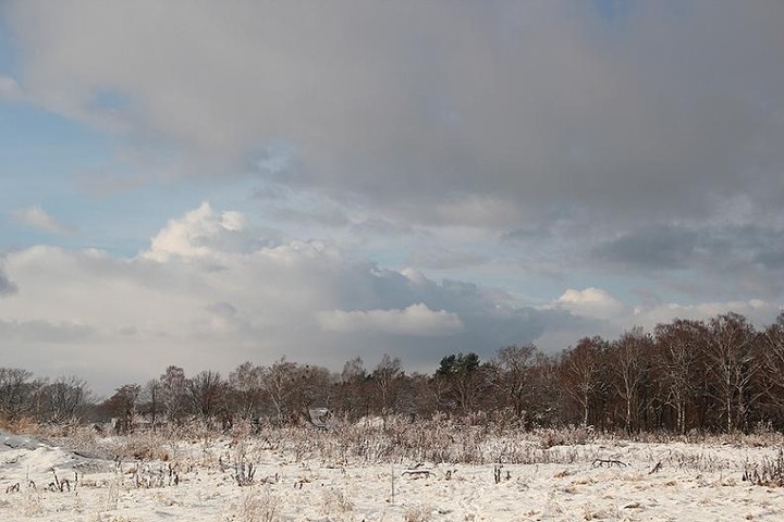 Chaotycznie (Styczeń 2012)