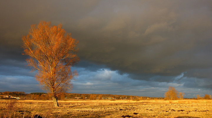 Okolice Komorowa Żuławskiego (Marzec 2012)