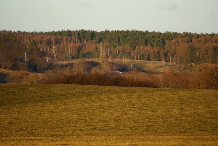 paślałąka (Marzec 2012)