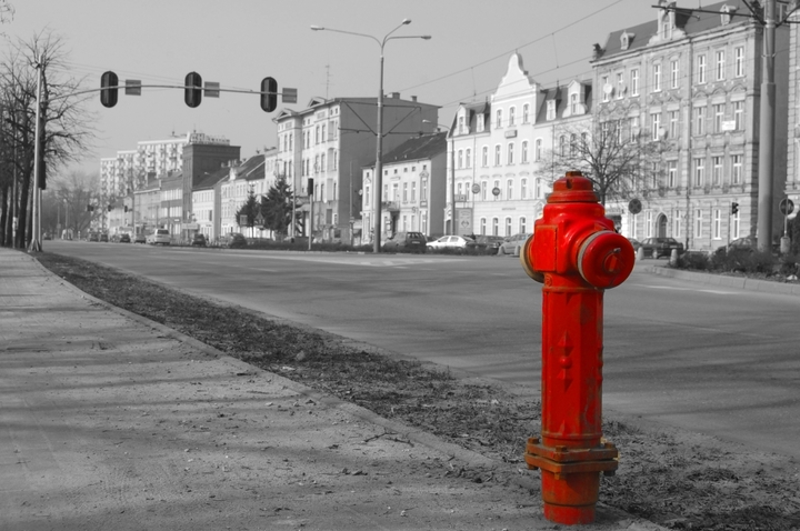 Zamiast drzewa i zielonej łąki jest hydrant i ponura ulica.
W Elblągu zawsze można znaleźć jakiś kolor.