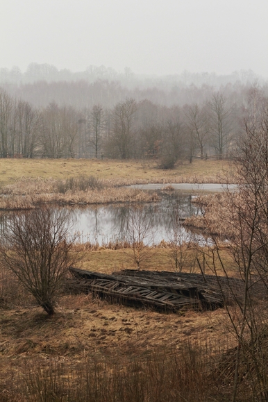 zastawniański poranek (Marzec 2012)