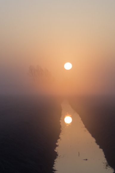 zamglony wschód słońca (Marzec 2012)