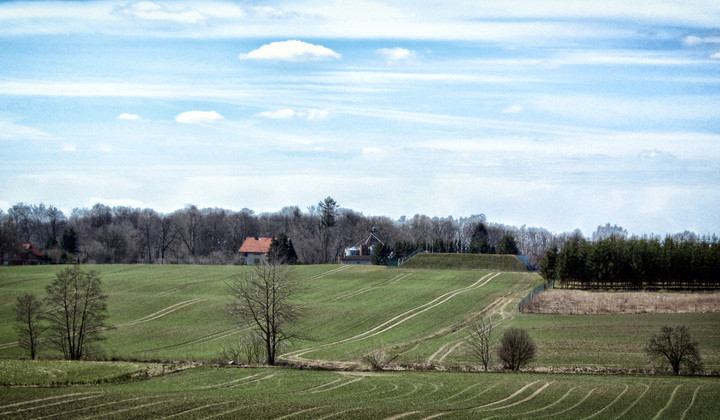 Krasny Las (Kwiecień 2012)