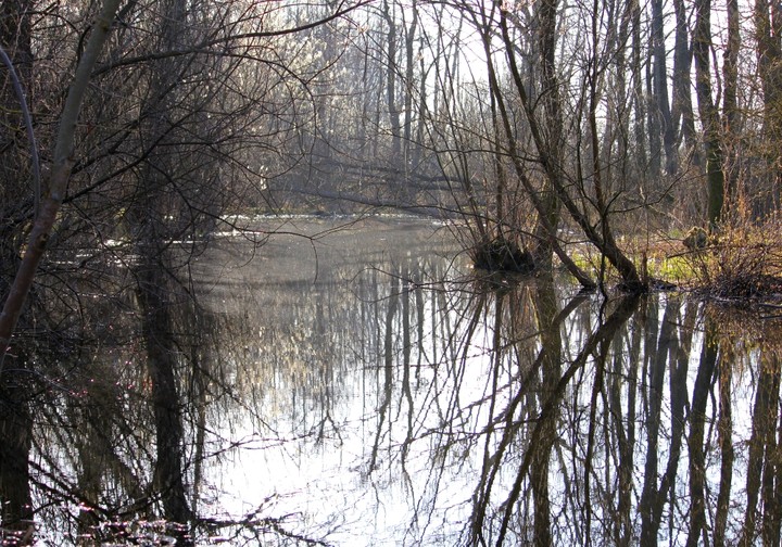 Drużno o poranku.