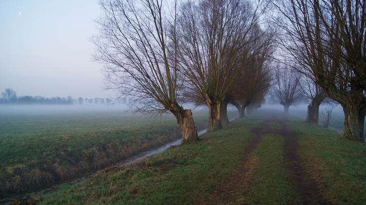 Poranek na mglistych Żuławach (Kwiecień 2012)