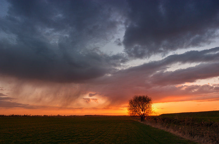 Przedwiośnie (Kwiecień 2012)