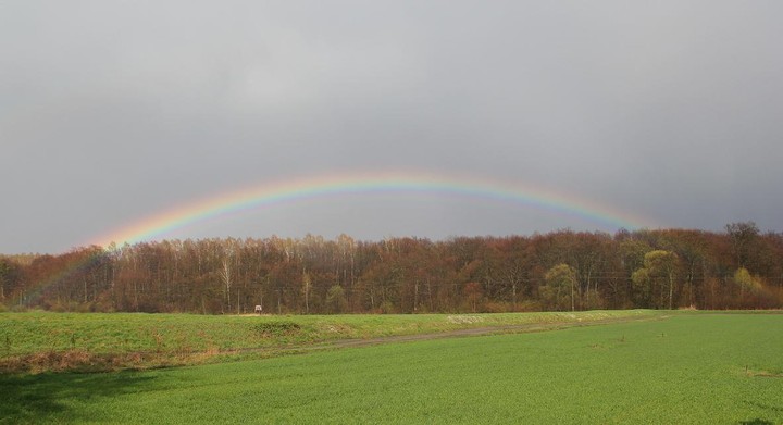 od początku do końca