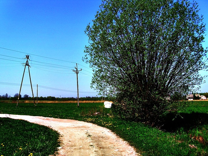 Polna dróżka (Maj 2012)